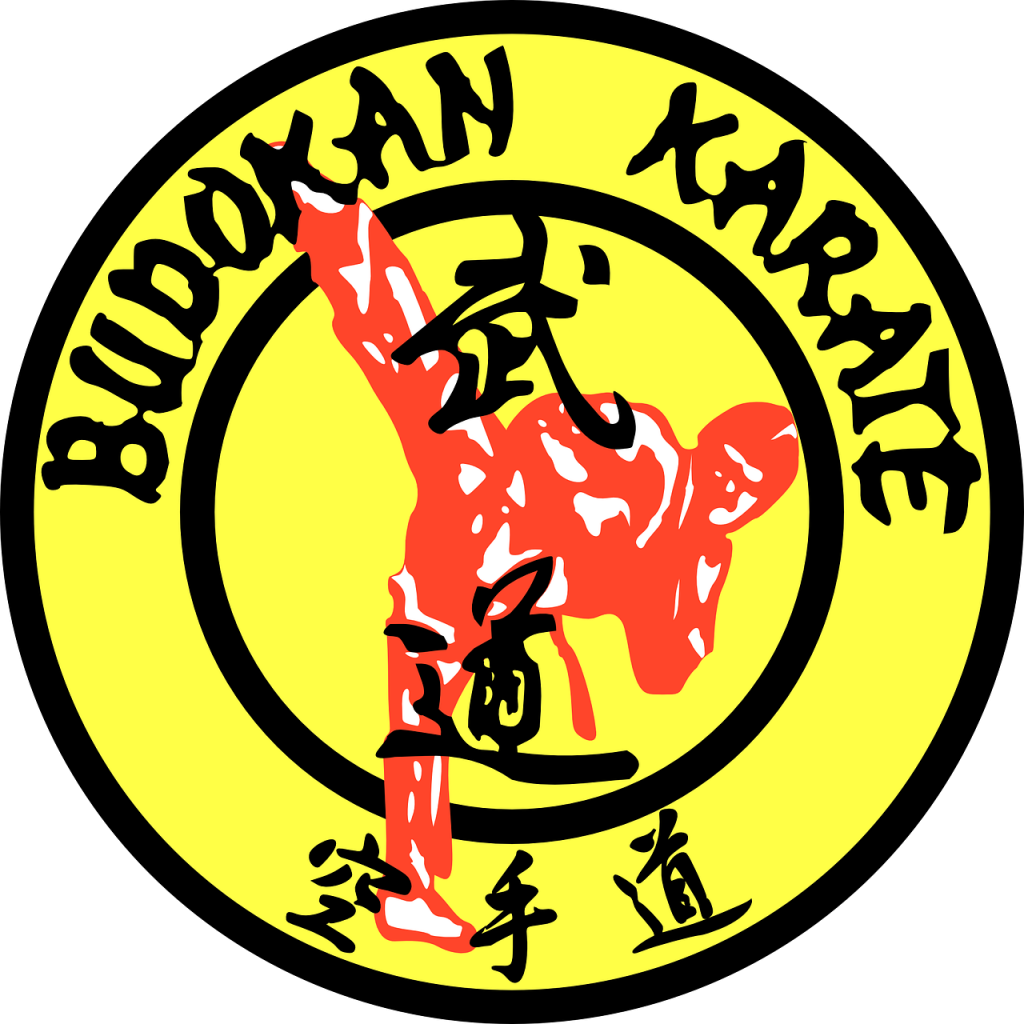 karate, martial arts, karate-do-150251.jpg